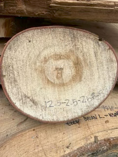 Spalted Maple